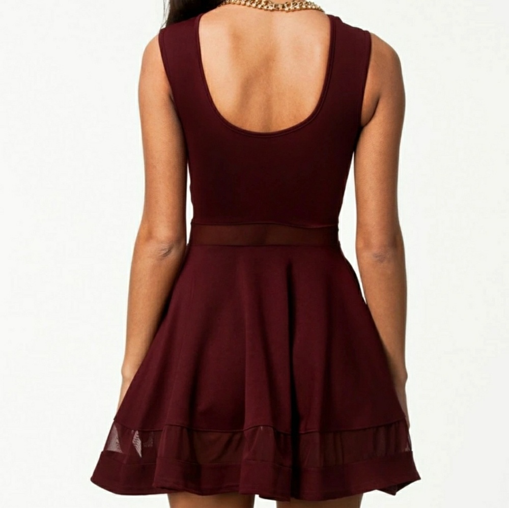 Mesh Skater Dress - Picture 4 of 6